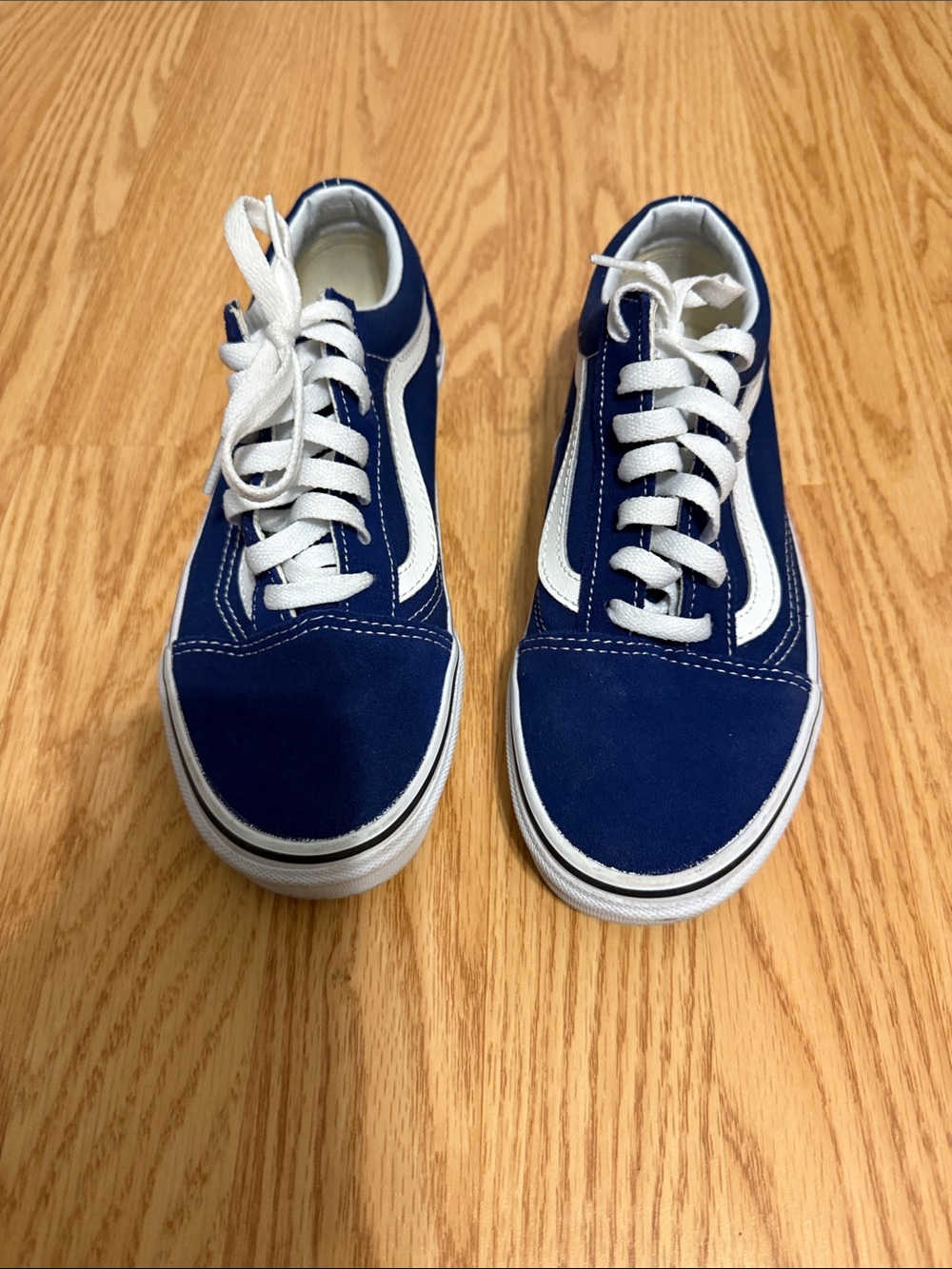 Vans Blue and White Low-Top Skate Sneakers